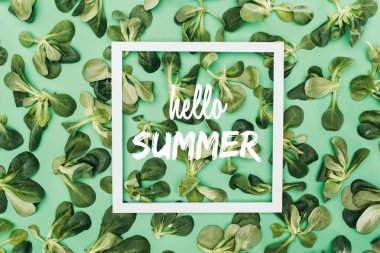 top view of white square frame with words hello summer and beautiful fresh green leaves on green clipart