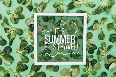 top view of words its summer, lets travel in frame and beautiful fresh green leaves on green clipart