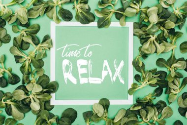 white frame with words time to relax and fresh green leaves on green clipart