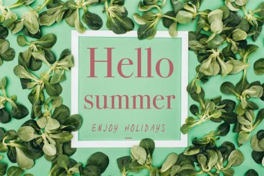 white frame with words hello summer, enjoy holidays and fresh green leaves on green clipart