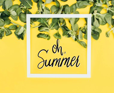 white frame with words oh summer and green leaves on yellow  clipart