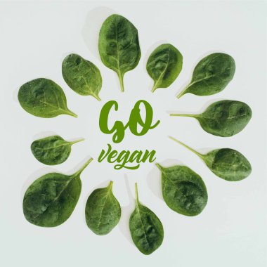 top view of beautiful fresh green leaves and words go vegan isolated on grey clipart