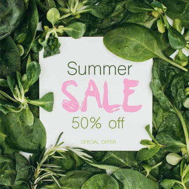 top view of white card with words summer sale and beautiful fresh green leaves and plants clipart