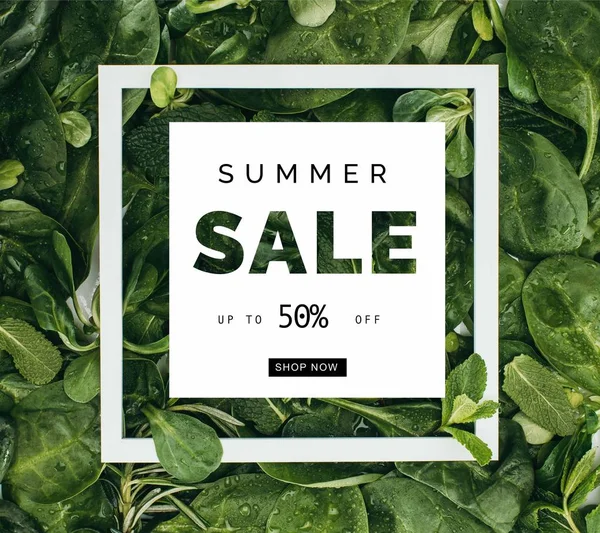 Square White Frame Words Summer Sale Beautiful Fresh Green Leaves — Stock Photo, Image