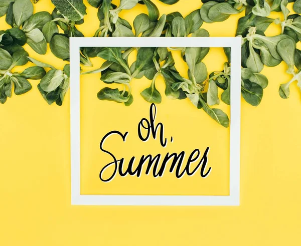 Λευκό Πλαίσιο Τις Λέξεις Καλοκαίρι Και Πράσινα Φύλλα Στο Κίτρινο — Φωτογραφία Αρχείου
