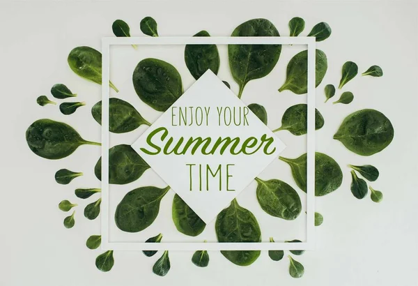 Top View Beautiful Fresh Green Leaves Words Enjoy Your Summer — Stock Photo, Image