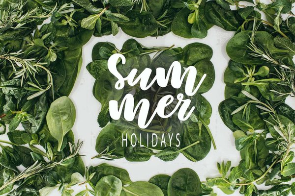 top view of beautiful fresh green leaves and plants on white with words summer holidays