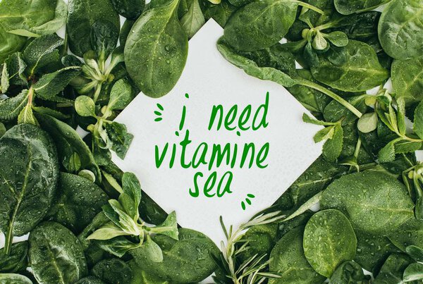 вид сверху на белую карточку со словами Мне нужно Витаминное море и красивые влажные зеленые листья
  