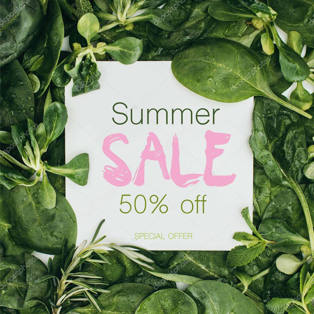 top view of white card with words summer sale and beautiful fresh green leaves and plants