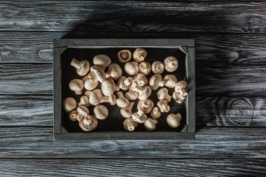 gri ahşap yüzeyde pişmemiş champignon mantar kutusunda üstten görünüm