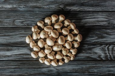 ahşap yüzeyde champignon mantar daire şeklinde üstten görünüm