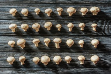 ahşap yüzey üzerinde ham champignon mantar satırlardaki üstten görünüm