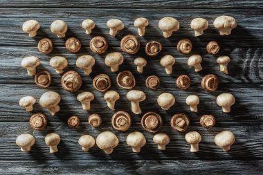 top view of white raw champignon mushrooms in rows on wooden surface clipart