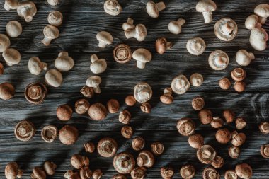 top view of white and brown champignon mushrooms on wooden surface clipart