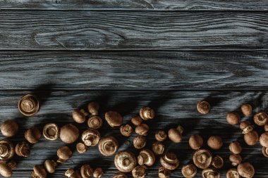 gri ahşap yüzey üzerinde satır champignon mantar üstten görünüm