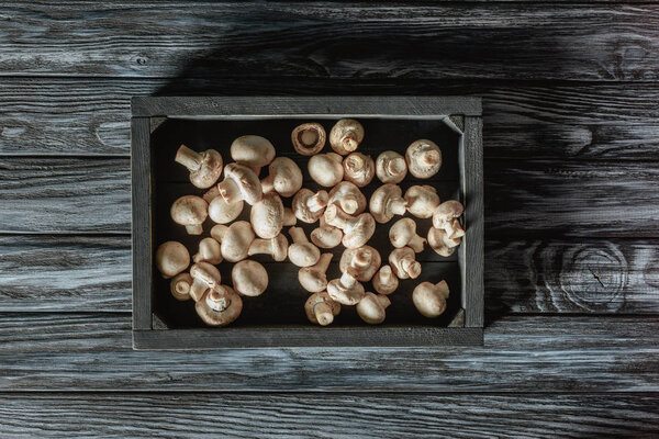вид сверху на сырые шампиньонские грибы в коробке на серой деревянной поверхности
