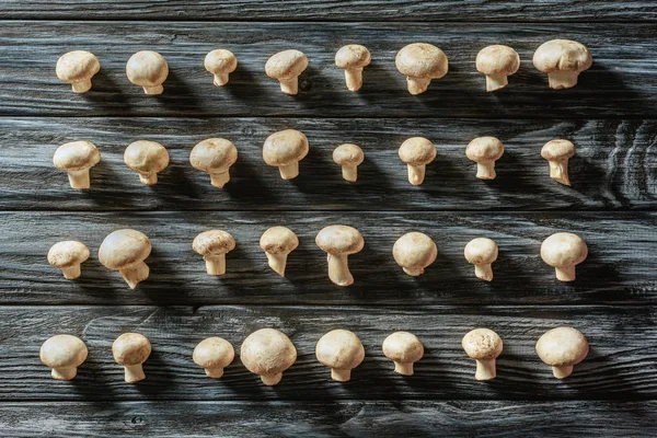 Top View Raw Champignon Mushrooms Rows Wooden Surface — Stock Photo, Image