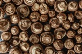 Vollbild-Aufnahme roher Champignon-Pilze auf Holzoberfläche