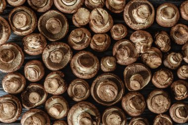 tam kare çekim ham champignon ahşap yüzeyde mantar