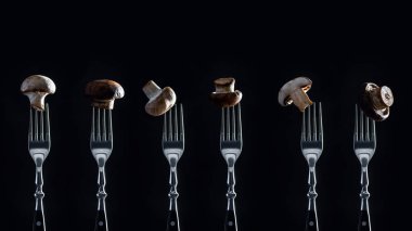 satır champignon mantar siyah izole çatal üzerinde