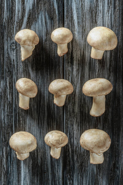 top view of champignon mushrooms in rows on wooden surface