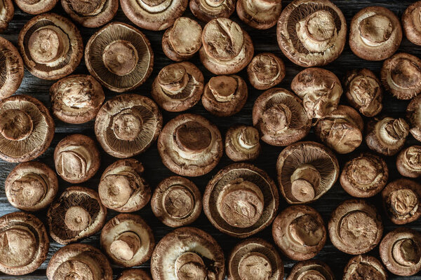 full frame shot of raw champignon mushrooms on wooden surface