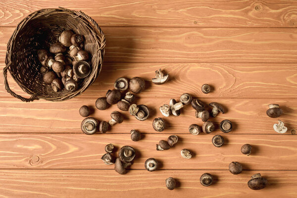 top view of champignon mushrooms in basket on wooden surface