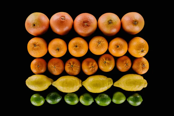 不同熟柑桔果实在黑排中的含量 — 图库照片