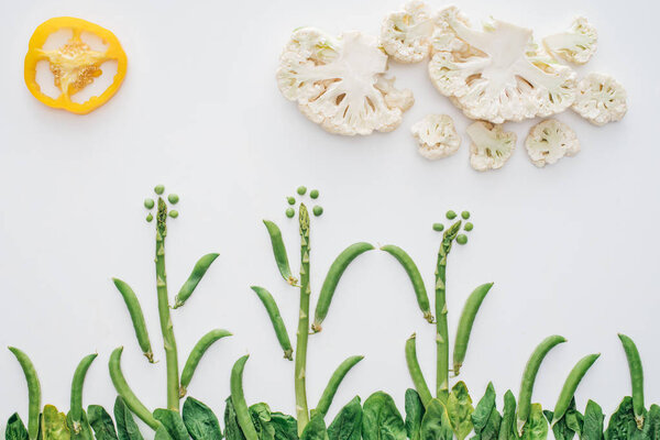 top view of beautiful landscape made of green peas, sliced pepper and cauliflower isolated on white