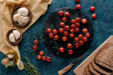 Domates ve mozzarella koyu mavi masada sandviç için malzemeler