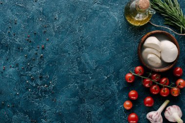 Mozzarella peyniri domates ve çeşniler koyu mavi masada