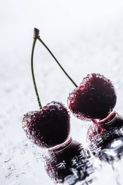 selective focus of red ripe cherries with water drops on wet surface  clipart