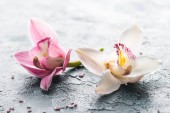 zár-megjelöl kilátás gyönyörű rózsaszín és fehér orchidea virágok és tengeri só