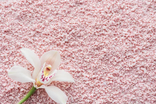 Bovenaanzicht Van Mooie Witte Orchidee Bloem Roze Zee Zout Achtergrond — Stockfoto