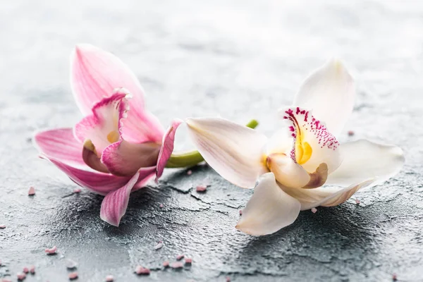 Nahaufnahme Von Schönen Rosa Und Weißen Orchideenblüten Und Meersalz — Stockfoto