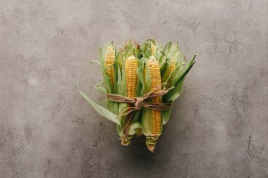gri beton yüzeyi iple bağlı taze mısır koçanı üstten görünüm