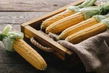 Olgun Mısır koçanı kutusunda çadır bezi ile görünümü ahşap yüzeyine kadar kapatın