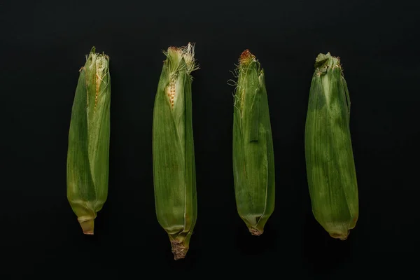 黒に分離配置生新鮮なトウモロコシの穂軸でフラット レイアウト — ストック写真