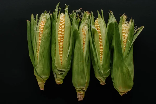 Flat Lay Arranged Raw Fresh Corn Cobs Isolated Black — Stock Photo, Image