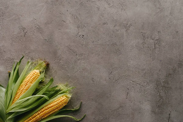 Top View Raw Corn Cobs Grey Concrete Surface — Stock Photo, Image