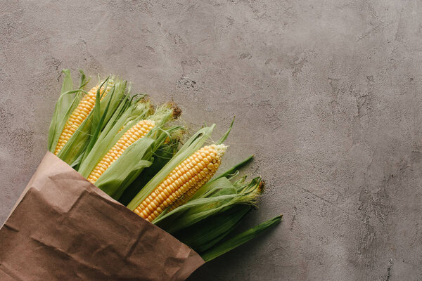 top view of raw corn cobs in paper bag on grey concrete surface