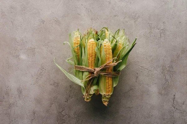 Top View Fresh Corn Cobs Tied Rope Grey Concrete Surface — Stock Photo, Image