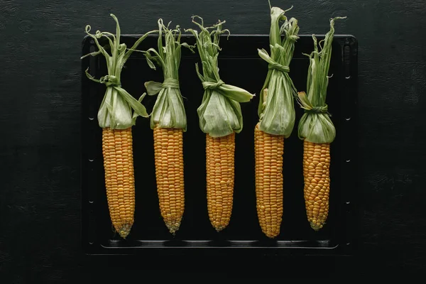 Top View Fresh Raw Corn Cobs Black Baking Pan Wooden — Stock Photo, Image