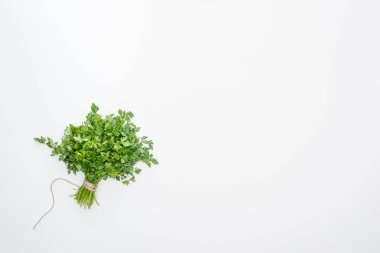 top view of green parsley tied with rope isolated on white clipart
