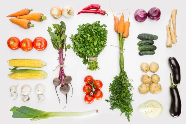 Flat Lay Fresh Autumn Vegetables Arranged Isolated White — Stock Photo, Image