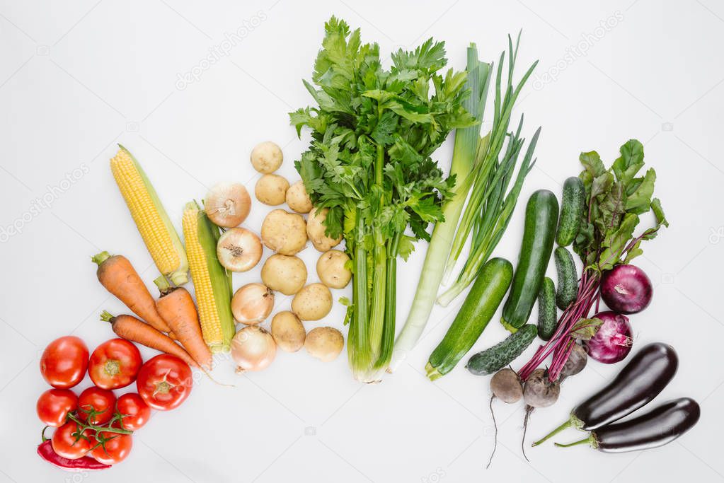 flat lay with fresh autumn vegetables arranged isolated on white