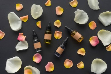 top view of scattered bottles of natural oils and rose petals isolated on black, beauty concept clipart