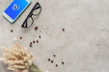 top view of smartphone with shazam app on screen with eyeglasses, spilled coffee beans and lagurus ovatus bouquet on concrete surface clipart