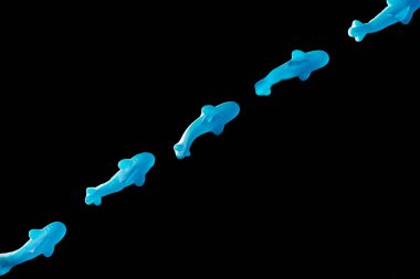 top view of diagonal of blue jelly candies in shape of dolphins isolated on black clipart