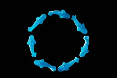 top view of circle of blue jelly candies in shape of dolphins isolated on black clipart